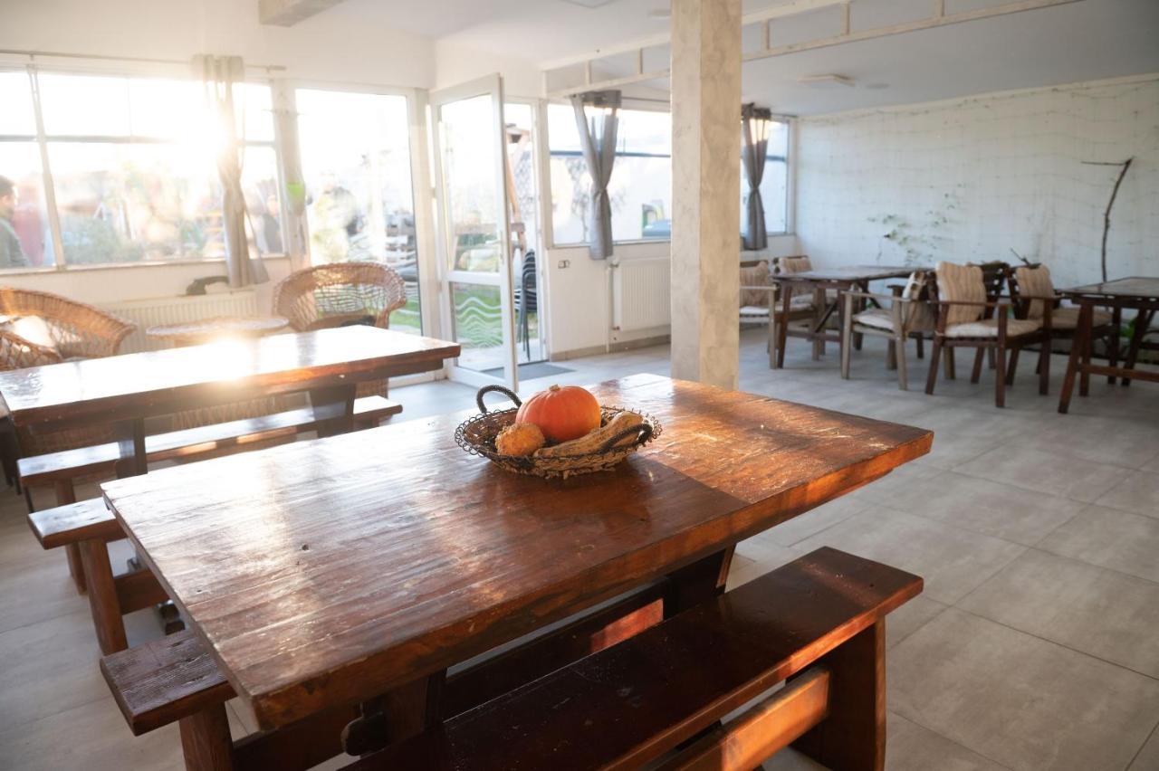 Casa Dumitrescu Hotel Navodari Ngoại thất bức ảnh