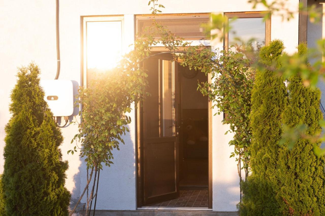 Casa Dumitrescu Hotel Navodari Ngoại thất bức ảnh